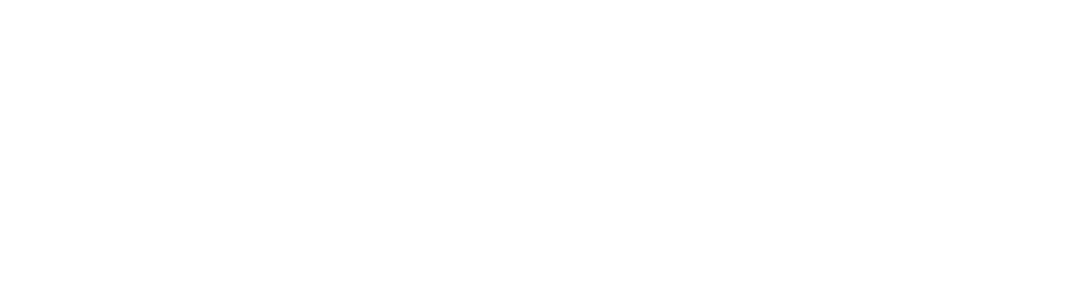 Cobra Car RC